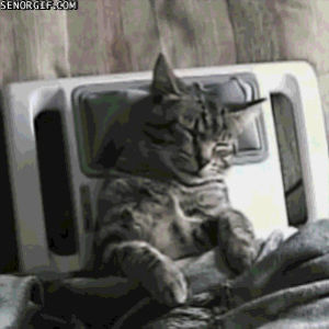 relaxing,cat,massage