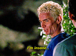 buffy the vampire slayer,james marsters,spike,movies,buffy,insane,xander,excuse,buffy quote,crazy spike,insane spike,silliest