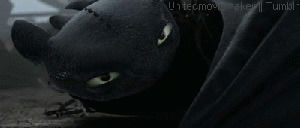 night fury,toothless,if toothless could speak,dragons,httyd,how to train your dragon