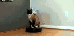 cat,animals,cute,dog,easter,roomba,easter bunny