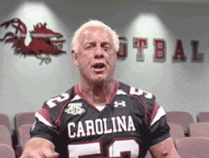 GIF ric flair, best animated GIFs free download. 