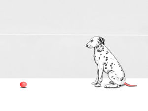 psychedelic,dog,animal,ball