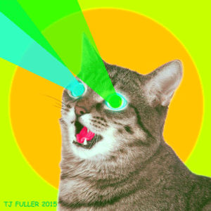 internet,cat,crazy,media,insane,funny cat,lasers,laser eyes