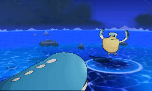 pokemon,my s,dive,wailord