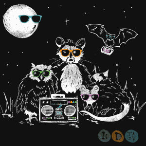 music,night,illustration,rocket,owl,art,animals,opossum,raccoon,artists on tumblr,boombox,funny,80s,lol,design,moon,sunglasses,threadless,corey hart,wayfarer,ndtank