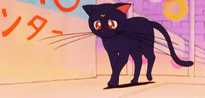 luna,quit,anime,sailor moon,give up,107