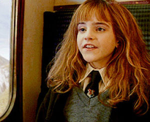 harry potter,harry,hermione,ss