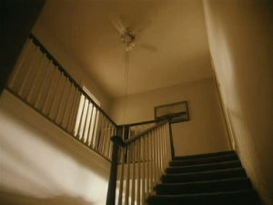 twin peaks,stairs,fan,house