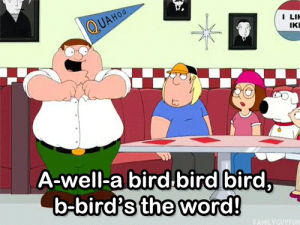 family guy,bird is the word