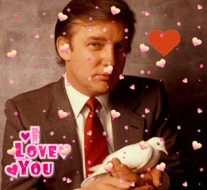 love,donald trump,trump,bird love