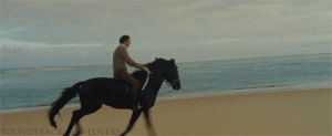 beach,horse,black,sea,gallop