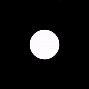 black,sphere,glass,black and white,shurly,white,blackwhite,spheres