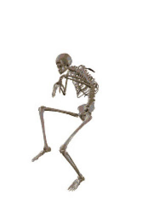 skeleton,skeletons