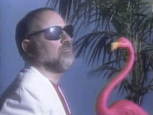 cool,miami,flamingo,swag,80s,sunglasses