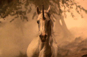 dreaming,beauty,unicorn,beautiful,white,horse,dream