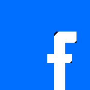facebook,pixel,social media,petscii,sabbatica