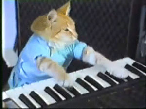piano,play,keyboard cat
