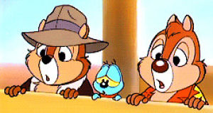 chip n dale,crunchlins,rescue rangers,animationedit,vol 1,class lineup