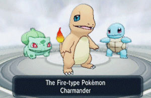 squirtle,bulbasaur,charmander,pokemon x and y,kanto,x and y,kanto region,comei