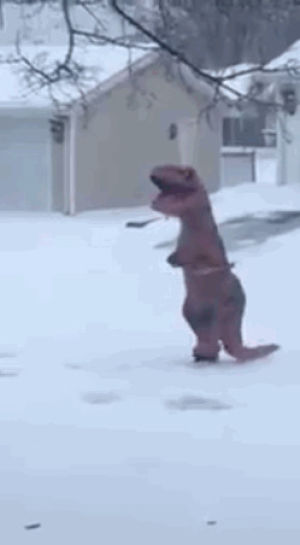 t rex,dinosaur,snow,blizzard 2016,shoveling