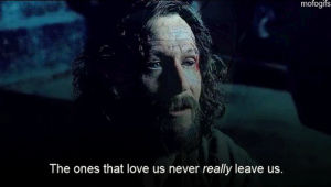 Sirius Black Gif Find On Gifer