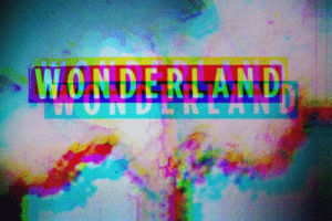 marijuana,ganja,trippy,shrooms,stay high,weed,alice in wonderland,acid,pot,wonderland,bud,high life