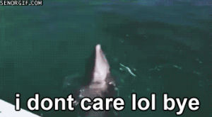 bye,whatever,unimpressed,dolphin,leaving,swimming,animals,i dont care,funny animals,let it go,who cares,lol bye