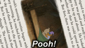 winnie the pooh,pooh,pooh bear