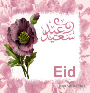 eid mubarak,eid,wallpaper,mubarak,happy,dekstop