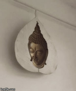 buddha,face,old,town,phuket