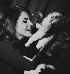 lana del rey,lovey,lana del rey with cat,cat,lovey ladies with cats