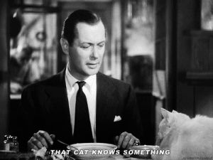 alfred hitchcock,cat,movies,film,vintage,mr and mrs smith,jp2,in all the towns