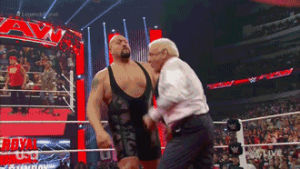 wwe,wrestling,punch,raw,ric flair,big show,wrestling s,finisher