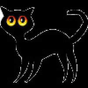 transparent,black cat