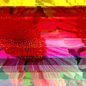 sacred geometry,glitch,artists on tumblr,glitch art,flower,databending