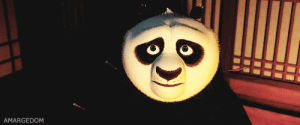 kung fu panda,panda,funny face