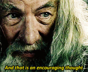 gandalf,frodo,movies,the lord of the rings,our,fellowship of the ring,rebecca