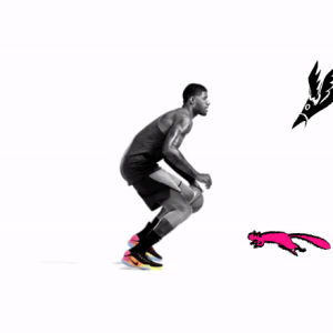 animals,basketball,swag,paul george,swoosh,spin move,nikeoriginals