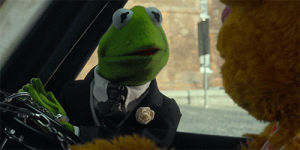 kermit the frog,muppets most wanted,film,disney,the muppets,march,fozzie bear,sam eagle