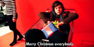 merry christmas,chocolate covered strawberries,one direction,harry styles,zayn malik,louis tomlinson,liam payne,1d,niall horan,i love you,christmas tree,1direction,i love them,merry xmas,celebrity christmas