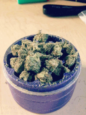 weed,cannabis,marijuana,transparent,smoking,chill