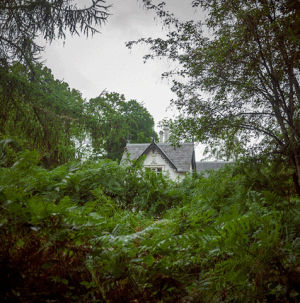 haunted house,forest,nino paulito,deer cottage