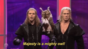 snl,saturday night live,john cena,season 42,snl 2016,mikey day,majesty is a mighty owl