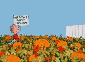 the great pumpkin,great pumpkin,pumpkin,linus van pelt,halloween,pumpkins,its the great pumpkin charlie brown,halloween special,halloween episode,charles m schulz,tfw kool aid