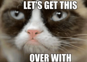 grumpy cat,lets get this over with,cat,artist,oh well,every time,artist meme,says everyone ever