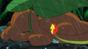 charmander,pokemon,sad,rain,raining