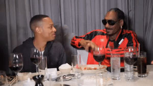 snoop dogg,bow wow,reality,we tv,growing up hip hop