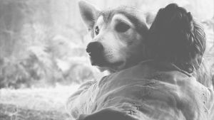 abraos,love,movie,dog,girl,black and white,friends,hugs,that was fast