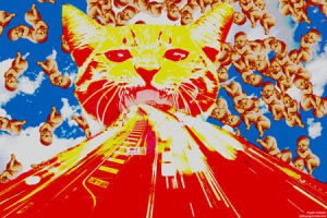 funny,cat,animals,trippy,psychedelic,head,graphic,babies,freeway,artwork by me