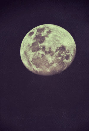 moonlight,black and white,night,dark,moon